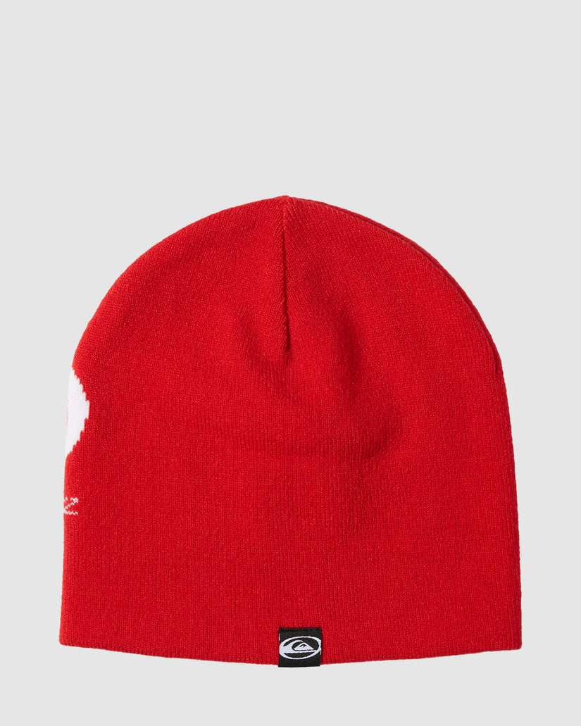 Boys Saturn Cuff Beanie