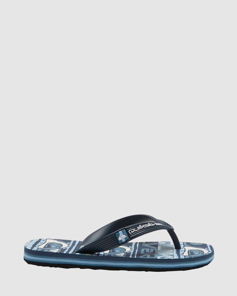 Boys 2-7 Molokai Art Flip-Flops