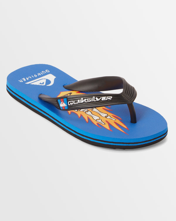 Boys 2-7 Molokai Art Flip-Flops