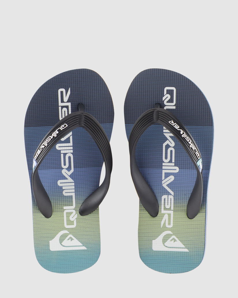 Boys 2-7 Molokai Art Flip-Flops