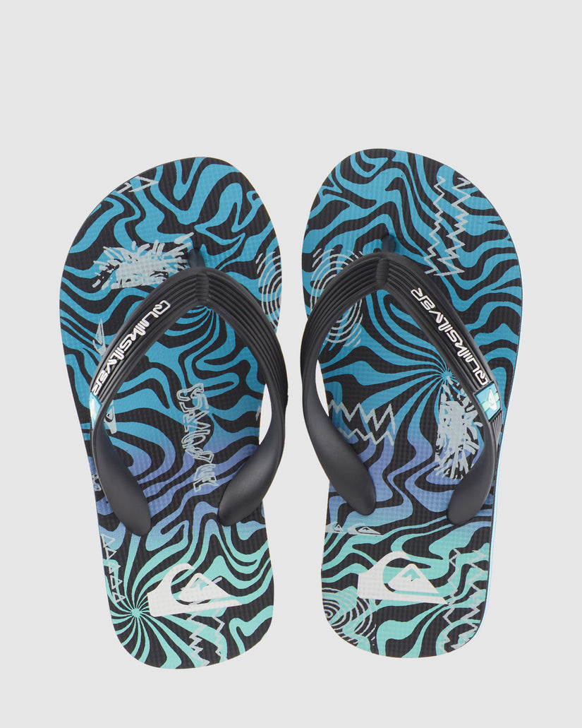 Boys 2-7 Molokai Art Flip-Flops