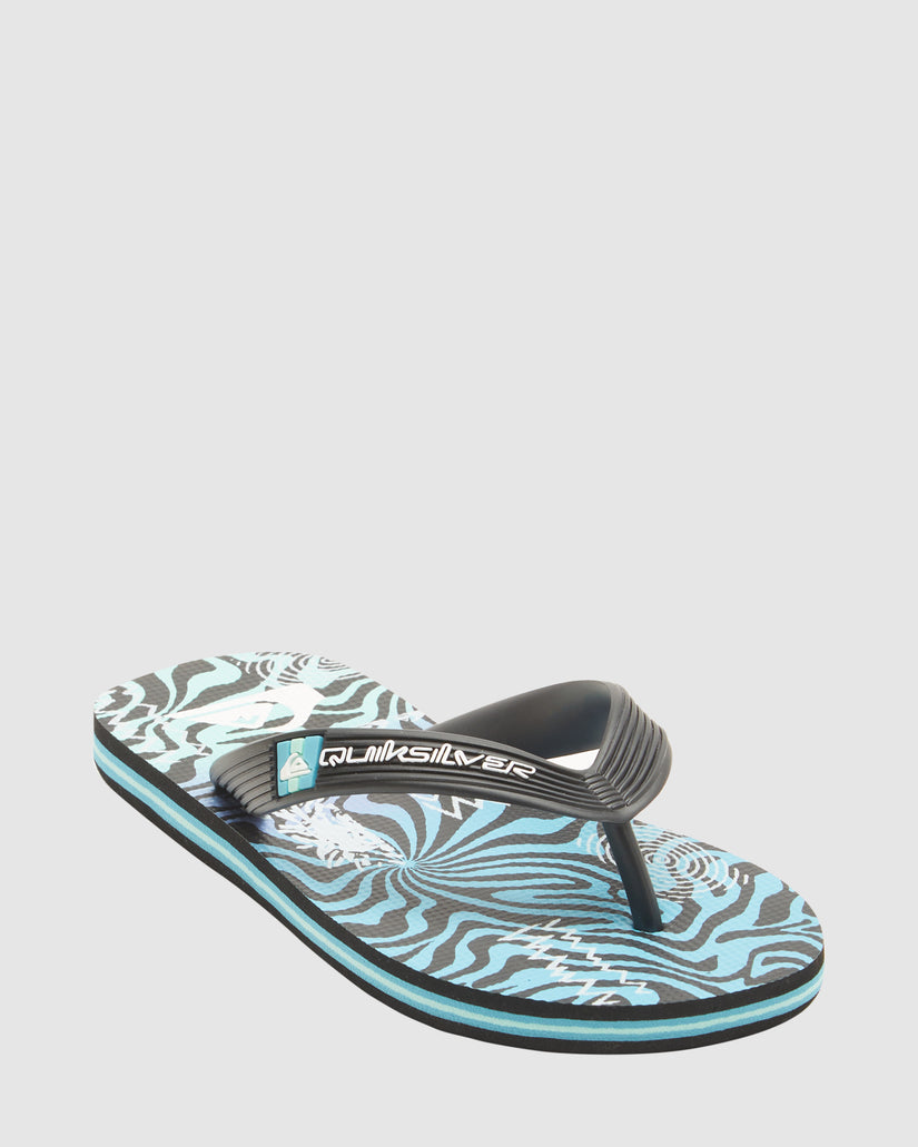 Boys 2-7 Molokai Art Flip-Flops