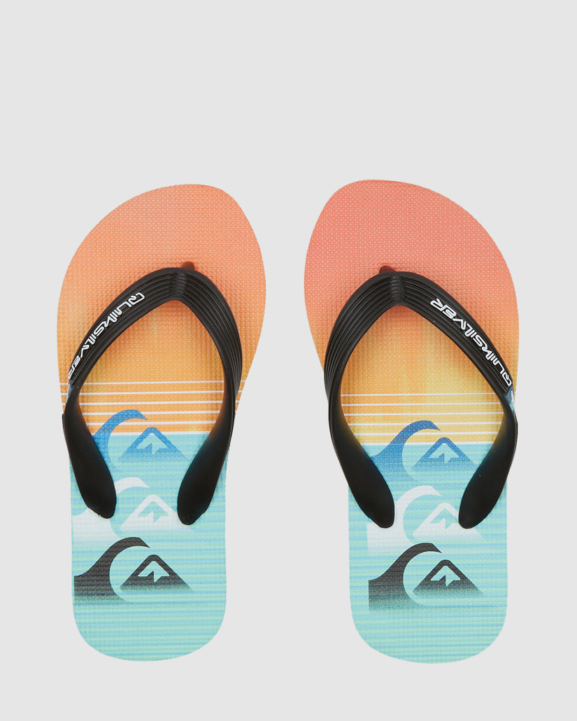 Boys 2-7 Molokai Art Flip-Flops