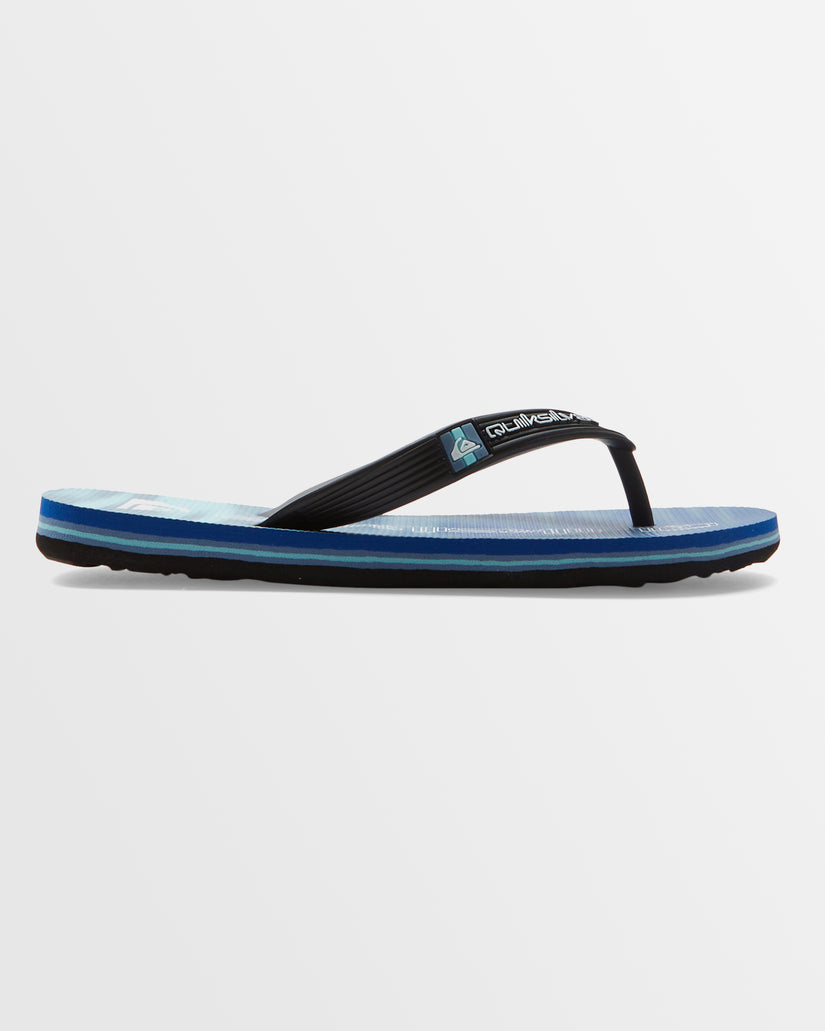 Boys 8-16 Molokai Art Beach Flip-Flops