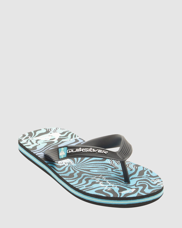 Boys 8-16 Molokai Art Beach Flip-Flops