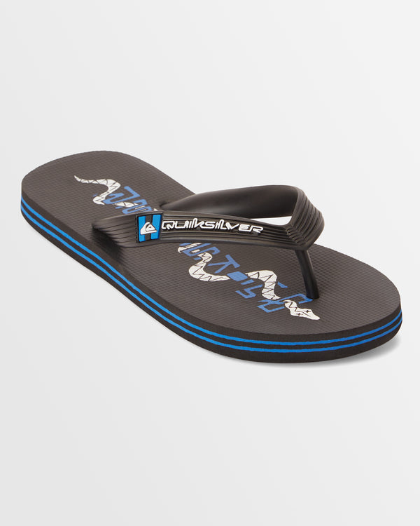 Boys 8-16 Molokai Art Beach Flip-Flops