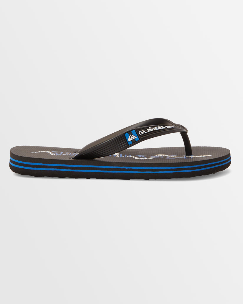 Boys 8-16 Molokai Art Beach Flip-Flops