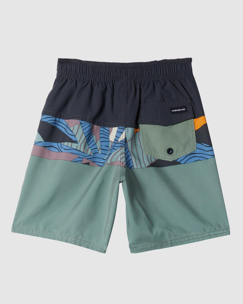 Boys 2-7 Everyday Panel Boardshorts