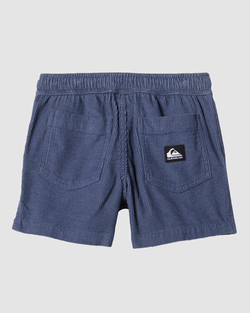 Boys 2-7 Taxer Corduroy Walk shorts