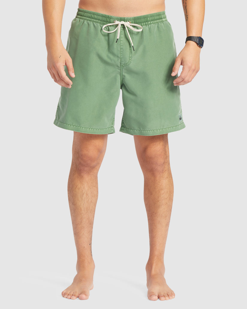 Mens Everyday Surfwash 17" Swim Shorts