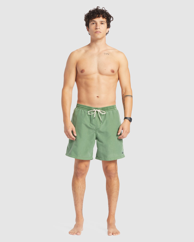 Mens Everyday Surfwash 17" Swim Shorts