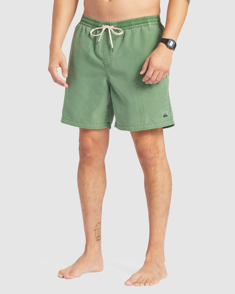 Mens Everyday Surfwash 17" Swim Shorts