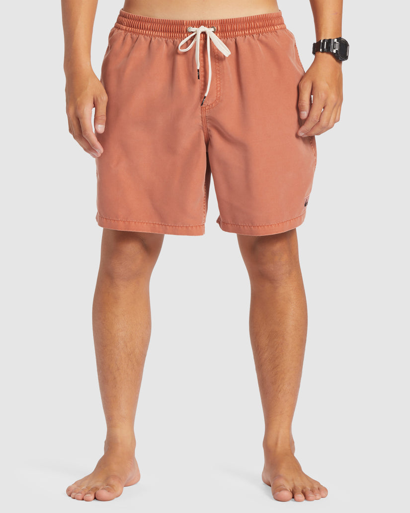 Mens Everyday Surfwash 17" Swim Shorts