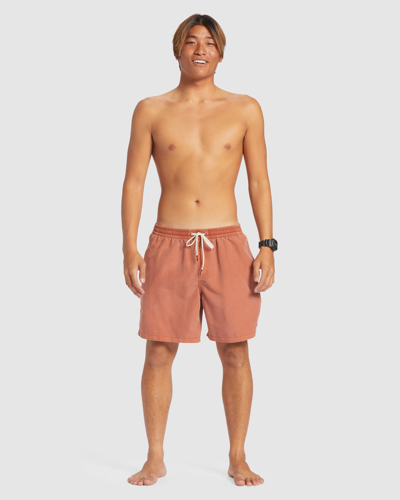 Mens Everyday Surfwash 17" Swim Shorts