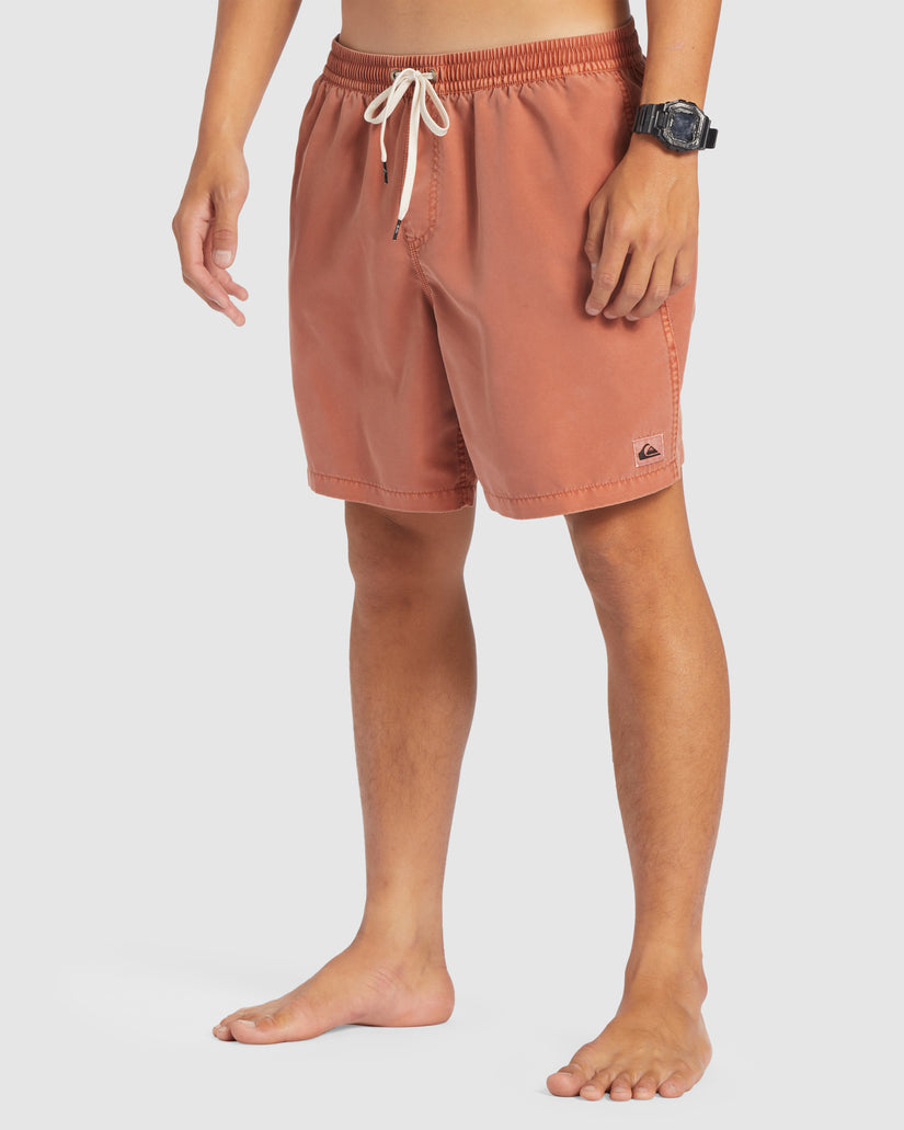 Mens Everyday Surfwash 17" Swim Shorts