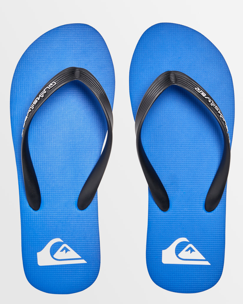 Mens Molokai Core Flip-Flops