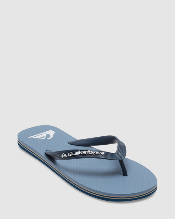 Mens Molokai Core Flip-Flops