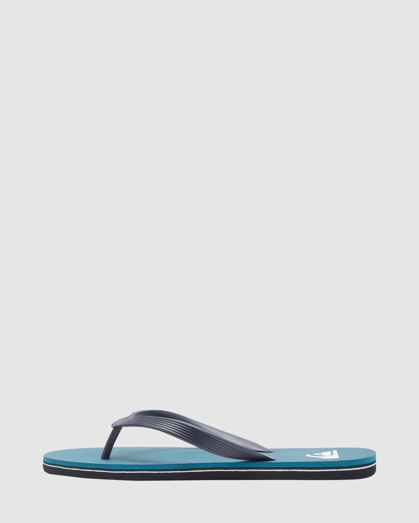 Mens Molokai Core Flip-Flops