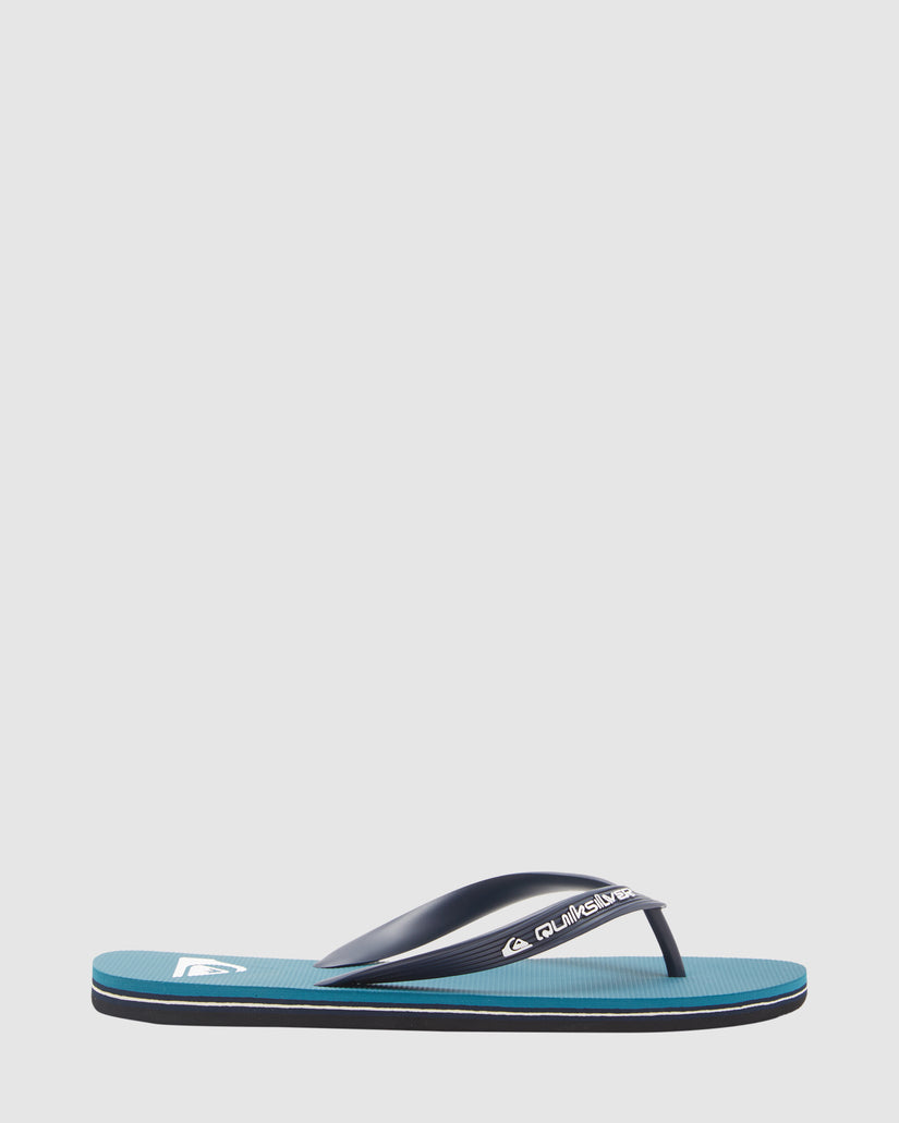 Mens Molokai Core Flip-Flops