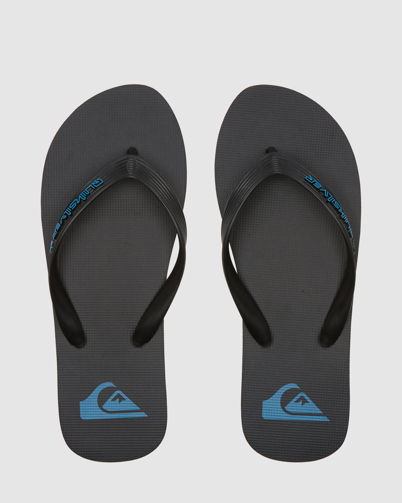 Mens Molokai Core Flip-Flops