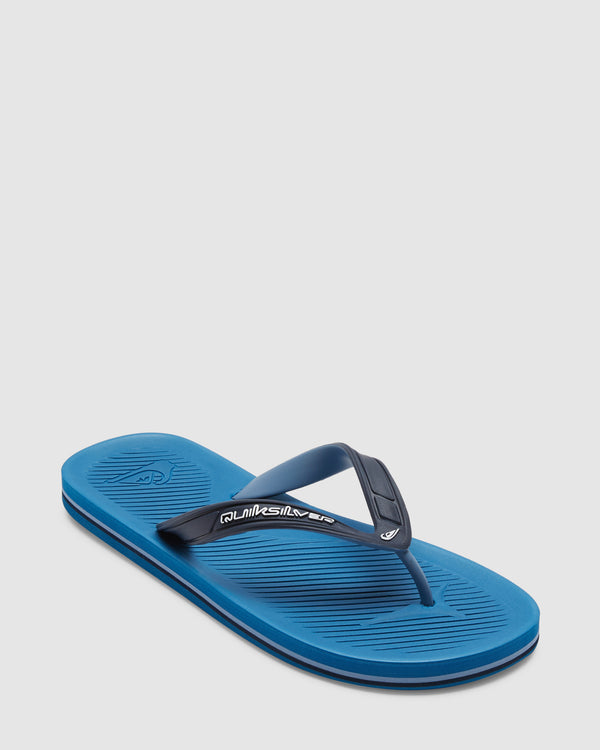 Mens Haleiwa Core Flip-Flops