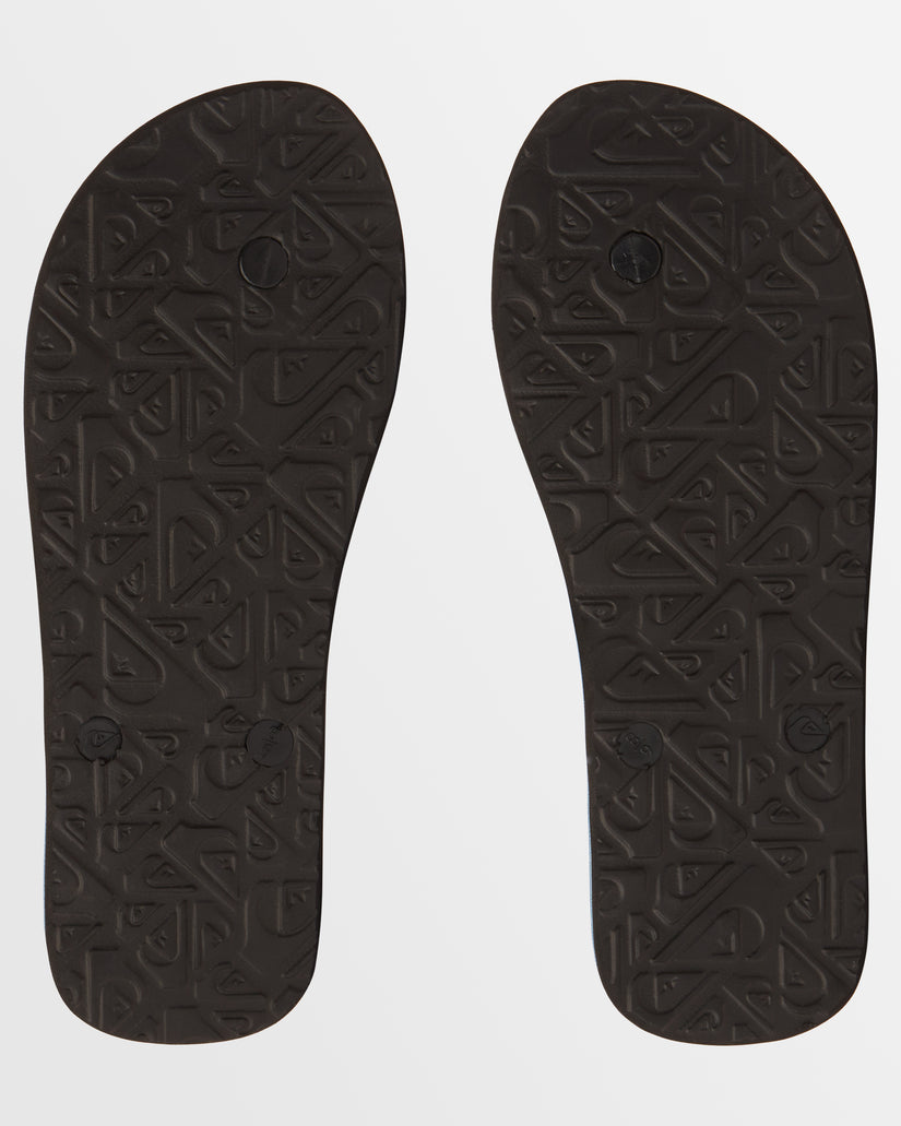 Mens Molokai Art Beach Flip-Flops