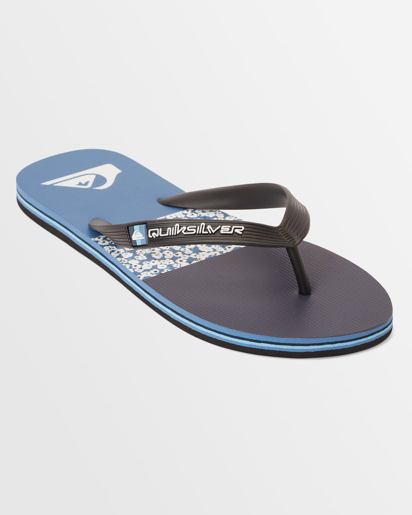 Mens Molokai Art Beach Flip-Flops