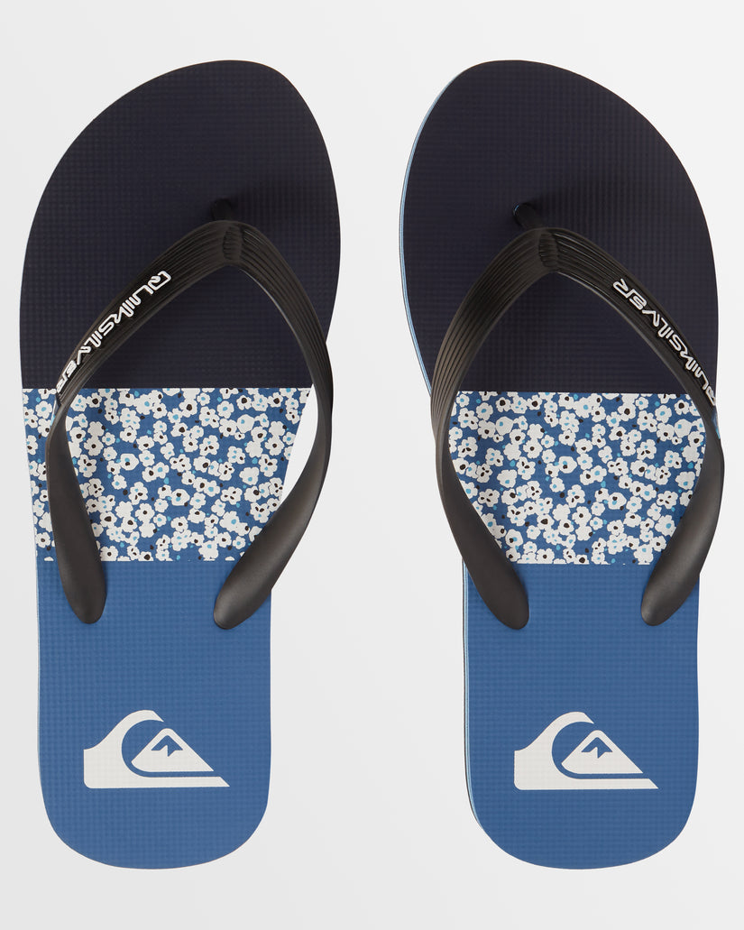 Mens Molokai Art Beach Flip-Flops