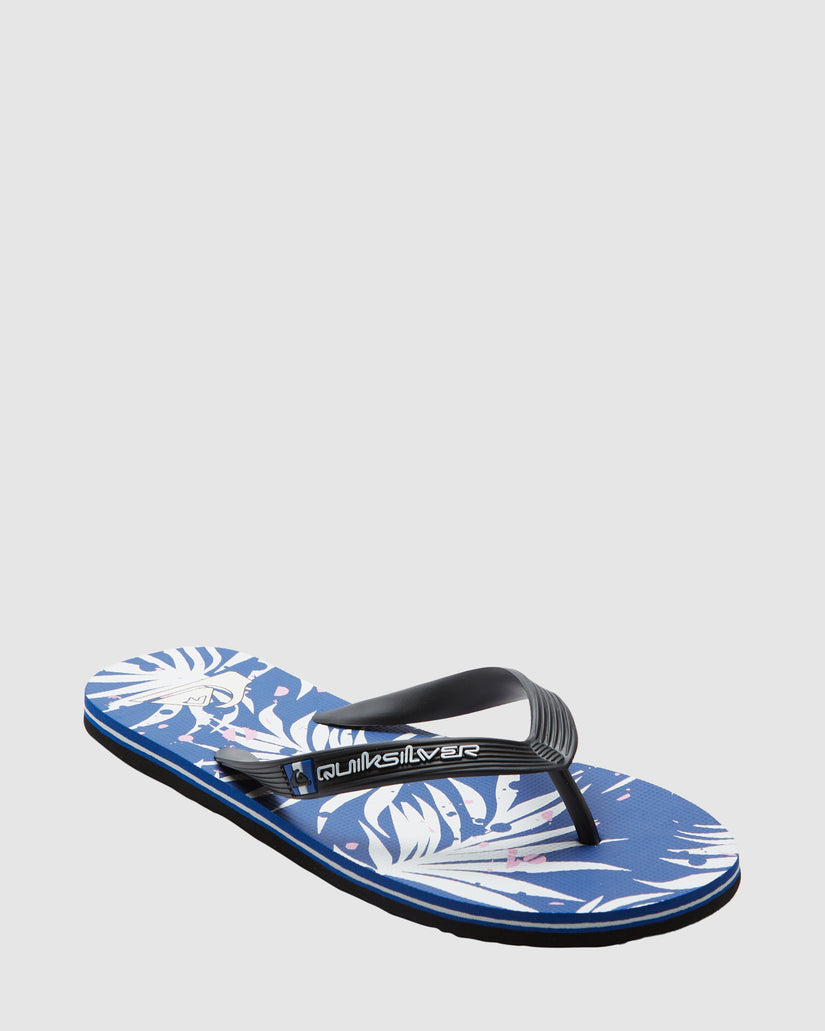 Mens Molokai Art Beach Flip-Flops