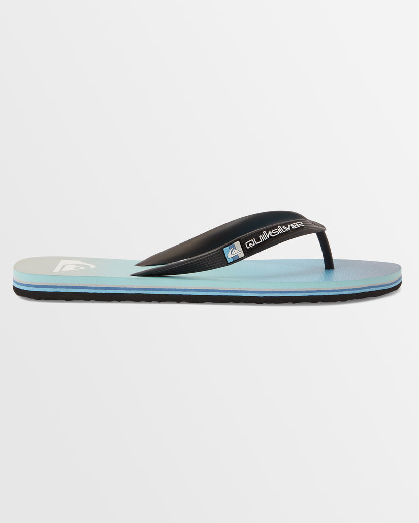 Mens Molokai Stripe Beach Flip-Flops