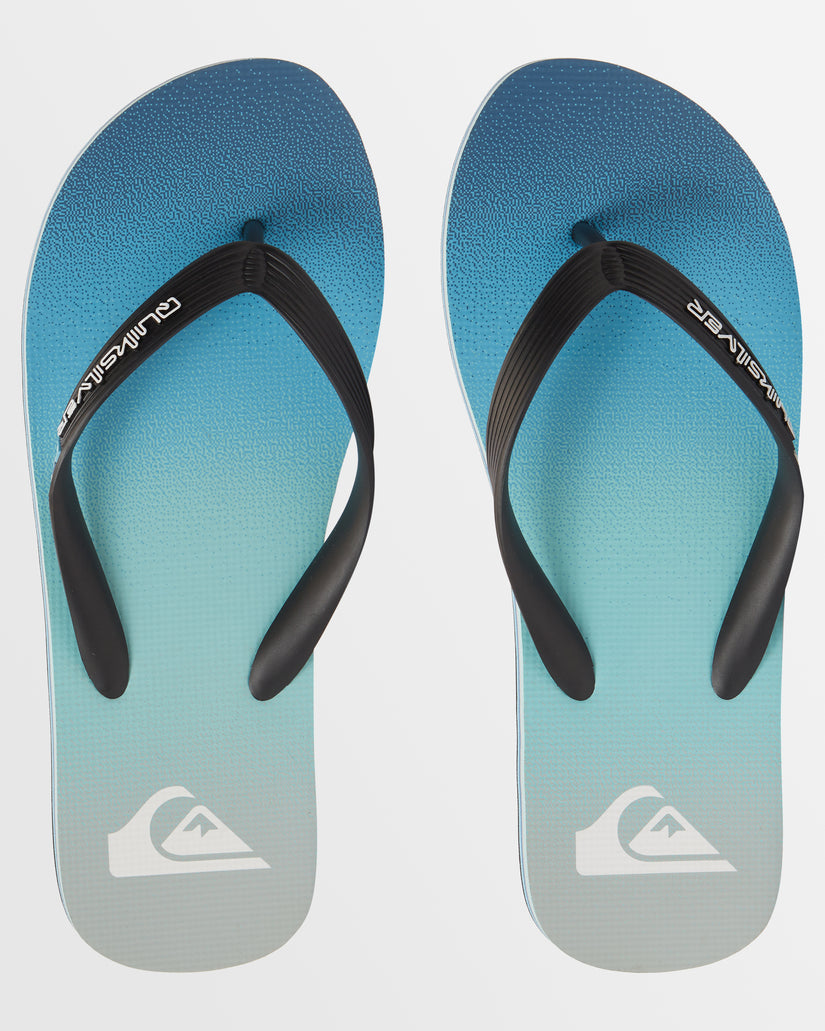 Mens Molokai Stripe Beach Flip-Flops