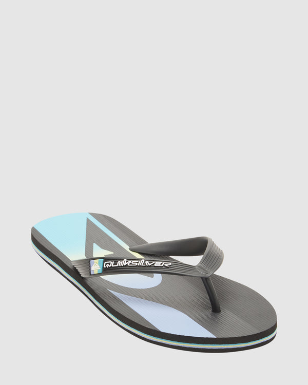 Mens Molokai Stripe Beach Flip-Flops