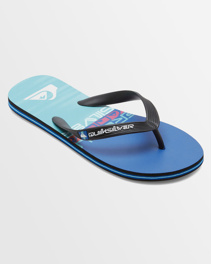 Mens Molokai Stripe Beach Flip-Flops