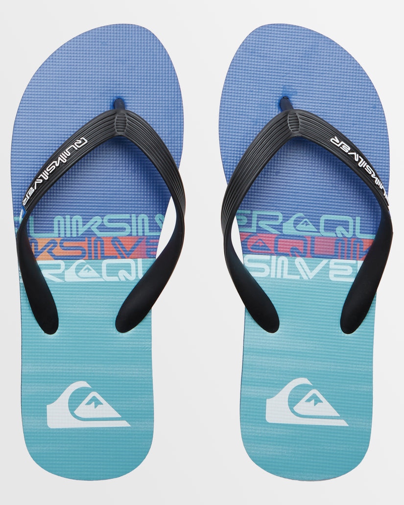 Mens Molokai Stripe Beach Flip-Flops