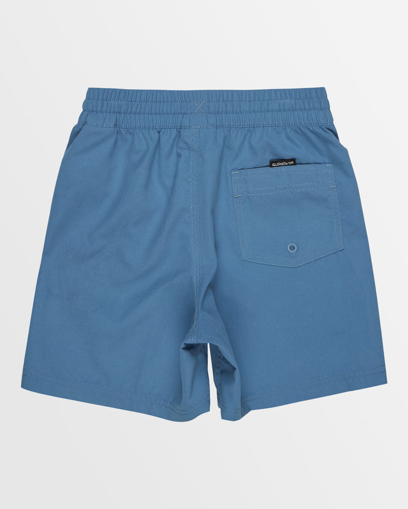 Boys 2-7 Everyday Vert Volley Shorts