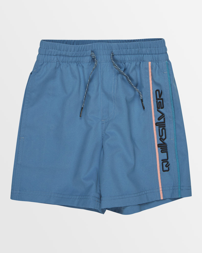 Boys 2-7 Everyday Vert Volley Shorts